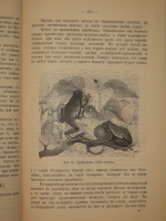 `Аквариум любителя. Подробное описание флоры и фауны аквариума, устройство аквариума, уход за ним и пр.` Н.Ф.Золотницкий. Москва, Издание А.А.Карцева, 1890г.