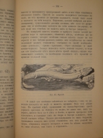 `Аквариум любителя. Подробное описание флоры и фауны аквариума, устройство аквариума, уход за ним и пр.` Н.Ф.Золотницкий. Москва, Издание А.А.Карцева, 1890г.