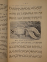 `Аквариум любителя. Подробное описание флоры и фауны аквариума, устройство аквариума, уход за ним и пр.` Н.Ф.Золотницкий. Москва, Издание А.А.Карцева, 1890г.