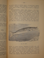 `Аквариум любителя. Подробное описание флоры и фауны аквариума, устройство аквариума, уход за ним и пр.` Н.Ф.Золотницкий. Москва, Издание А.А.Карцева, 1890г.