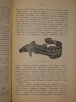 `Аквариум любителя. Подробное описание флоры и фауны аквариума, устройство аквариума, уход за ним и пр.` Н.Ф.Золотницкий. Москва, Издание А.А.Карцева, 1890г.