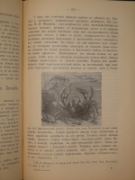 `Аквариум любителя. Подробное описание флоры и фауны аквариума, устройство аквариума, уход за ним и пр.` Н.Ф.Золотницкий. Москва, Издание А.А.Карцева, 1890г.