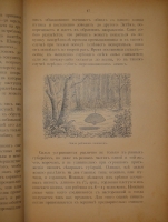 `Охотничьи и промысловые птицы Европейской России и Кавказа. В 2-х томах и Атласом` М.А.Мензбир. Москва, Типолитография Товарищества И.Н.Кушнерёв и К°, 1900-1902гг.