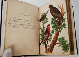 `Естественная история птиц` . [Москва]  литография при Музеуме, ценз. 1871 г.