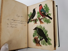 `Естественная история птиц` . [Москва]  литография при Музеуме, ценз. 1871 г.