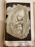 `Человек` И. Ранке. С.-Петербург, т-во Просвещение, 1901, 1904 г.