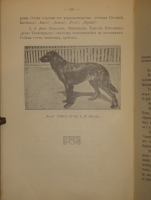 `Выбор, приобретение, содержание, дрессировка и натаска легавой` Алексей Тюльпанов. Киев, Типография 2-ой Артели, 1911г.