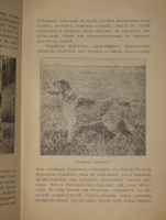 `Выбор, приобретение, содержание, дрессировка и натаска легавой` Алексей Тюльпанов. Киев, Типография 2-ой Артели, 1911г.