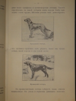 `Выбор, приобретение, содержание, дрессировка и натаска легавой` Алексей Тюльпанов. Киев, Типография 2-ой Артели, 1911г.
