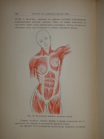 `Красота женского тела` Карл Генрих Штрац. С.-Петербург, Издание Н.С.Аскарханова, 1901г.