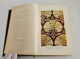 `Encyclopedie des ouvrages de dames. Nouvelle ed. revue et augmentee (Энциклопедия женских рукоделий)` Dillmont, Therese de. (Тереза де Дильмон). [Мюлуз]. Mulhouse: Therese de Dillmont, [1910]