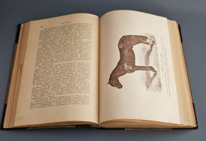 `Книга о лошади. Настольная книга для каждого коннозаводчика, коневода, коневладельца и любителя лошади` С.П. Урусов. СПб.: Издание Ф.В. Щепанского, 1902 г.