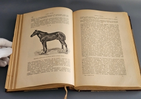 `Книга о лошади. Настольная книга для каждого коннозаводчика, коневода, коневладельца и любителя лошади` С.П. Урусов. СПб.: Издание Ф.В. Щепанского, 1902 г.