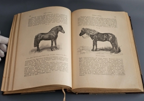 `Книга о лошади. Настольная книга для каждого коннозаводчика, коневода, коневладельца и любителя лошади` С.П. Урусов. СПб.: Издание Ф.В. Щепанского, 1902 г.