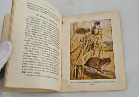 `В поле и в лесу` В. Н. Львов. Москва : М. и С. Сабашниковы, 1910г.