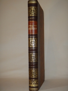 Конволют из двух изданий Барон Августин Мейерберг  Путешествие в Московию барона Августина Мейерберга  и Бернгард Таннер  Описание путешествия Польского посольства в Москву в 1678 году. 1874г., 1891г.
