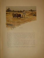 `Палестина` А.А.Суворин. С.-Петербург, Типография А.С.Суворина, 1898г.