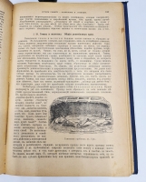 `Иллюстрированная история религий` Пьер Даниэль Шантепи-де-ля Соcсей. СПб., Издательство «Вестник Знания», 1911 г.