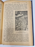 `Иллюстрированная история религий` Пьер Даниэль Шантепи-де-ля Соcсей. СПб., Издательство «Вестник Знания», 1911 г.