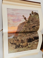 `Вселенная и человечество. История исследования природы и приложения ее сил на службу человечеству` Ганс Крэмер. Санкт-Петербург, т-во «Просвещение», 1904 г.