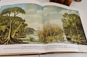 `Вселенная и человечество. История исследования природы и приложения ее сил на службу человечеству` Ганс Крэмер. Санкт-Петербург, т-во «Просвещение», 1904 г.