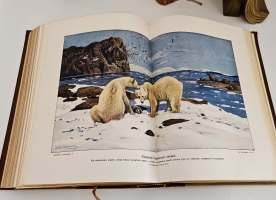 `Вселенная и человечество. История исследования природы и приложения ее сил на службу человечеству` Ганс Крэмер. Санкт-Петербург, т-во «Просвещение», 1904 г.