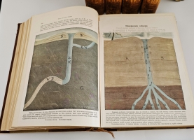 `Вселенная и человечество. История исследования природы и приложения ее сил на службу человечеству` Ганс Крэмер. Санкт-Петербург, т-во «Просвещение», 1904 г.