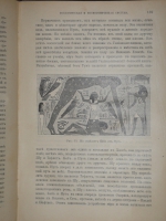 `Иллюстрированная история религий. В 2-х томах` Пьер Даниэль Шантепи-де-ля Соссе. Москва, Издание магазина  Книжное дело , 1899г.
