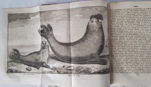 `Путешествие около света,  Которое в 1740, 41, 42, 43, 44, годах совершил адмирал лорд Ансон, будучи главным командиром над эскадрою военных кораблей его великобританскаго величества, отправленною для поисков в Южное море.` Адмирал лорд Ансон. Санкт-петербург, Типография Академии наук, 1789 г.