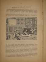 `Иллюстрированная история суеверий и волшебства от древности до наших дней` Альфред Леманн. Москва, Типолитография Товарищества И.Н.Кушнерев и К°, 1900г.