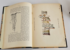 `Иллюстрированная всеобщая история письмен` Я.Б. Шницер. СПб., Издание А.Ф.Маркса. 1903 г.