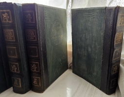 `История русской литературы XIX в. (в пяти томах) + Русская литература XX века ( в трех томах)` . М.: Мир, 1914–1916 гг.