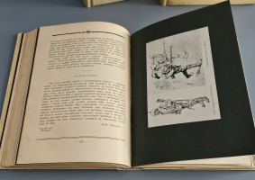 `История Великой войны. В трёх томах` . Москва, Издание Товарищества Н.В.Васильева, 1915-1916гг.