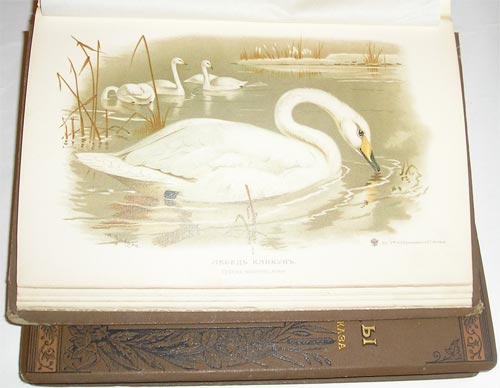 `Охотничьи и промысловые птицы Европейской России и Кавказа` Мейнзбир М.А. проф Императорского Московского Университета. Москва, 1900-1902гг.