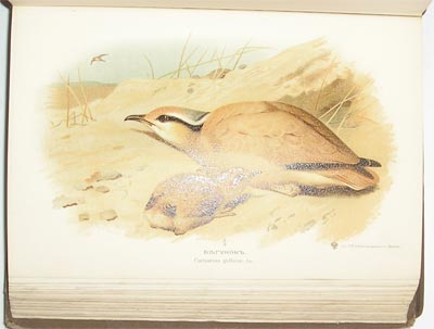 `Охотничьи и промысловые птицы Европейской России и Кавказа` Мейнзбир М.А. проф Императорского Московского Университета. Москва, 1900-1902гг.