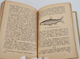 `Рыболовный спорт` Карла Гейнца. Москва-Ленинград, «Физкультура и туризм», 1931 г.