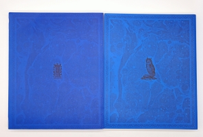 `Дар Губара` П.В.Губар. Москва, Издательство Ассоциации Акост, 2006 г.