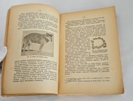 `Этюды оптимизма : С портр. автора и 27 рис` И.И. Мечников. Москва : Науч. слово, 1917