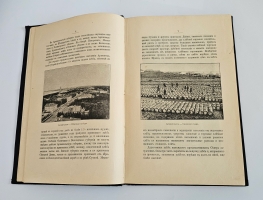 `Русский Север. Путевые записки` А.П. Энгельгардт. Спб., изд. А.С.Суворина, 1897 г.