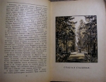 `Павловский парк` В.Н.Талепоровский. 1923г. Петербург