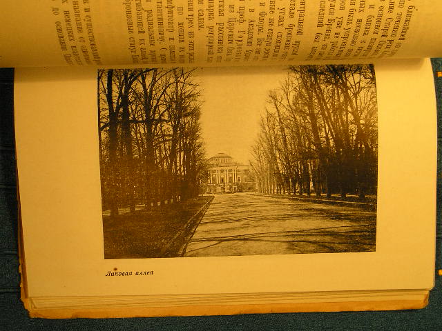 `Павловск` Н.Э.Архангельская. 1936г.