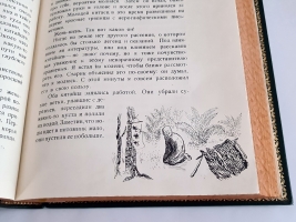 `Дерсу Узала` В.К. Арсеньев. Рисунки Е.Чарушина. Издательство детской литературы, 1936 г.