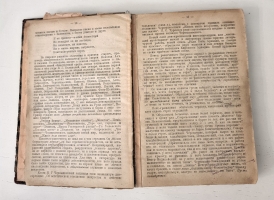 `Новейшая русская литература` В.Львов-Рогачевский. Москва, 1924 г