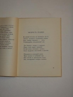 `Солнцерой` Виктор Третьяков. Берлин, Издательство  Петрополис , 1930 г.
