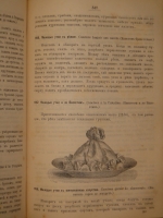 `Альманах Гастрономов` И.М.Радецкий. С.-Петербург-Москва, Издание Книгопродавца-Типографа М.О.Вольфа, 1877г.