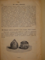 `Альманах Гастрономов` И.М.Радецкий. С.-Петербург-Москва, Издание Книгопродавца-Типографа М.О.Вольфа, 1877г.