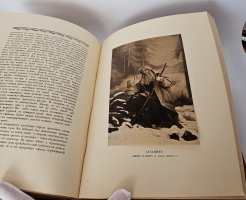 `Шаляпин` Эдуард Старк ( Зигфрид ). Петроград, Поставщик Двора Его Императорского Величества Т-во  Р.Голике и А.Вильборг , 1915 г.