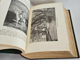 `История искусств. Зодчество. Живопись. Ваяние. В 3-х томах` П. Гнедич. Санкт-Петербург, изд.Маркса, 1908 год