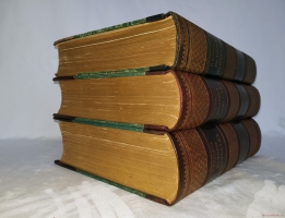 `История искусств. Зодчество. Живопись. Ваяние. В 3-х томах` П. Гнедич. Санкт-Петербург, изд.Маркса, 1908 год