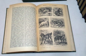 `Энциклопедический словарь в 86 томах` Ф.А. Брокгауз и И.А. Ефрон. СПб. Издание акционерного общества Брокгауз-Ефрон, 1882-1904 гг.